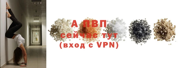 спиды Заводоуковск