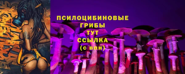 гидра Заволжск