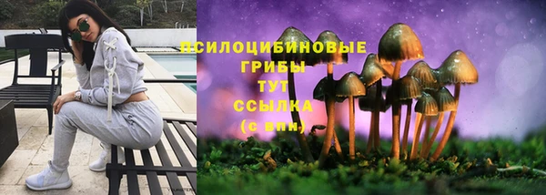 2c-b Елабуга