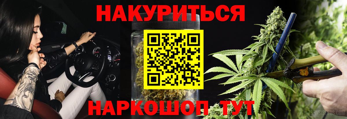 Марихуана сатива Истра
